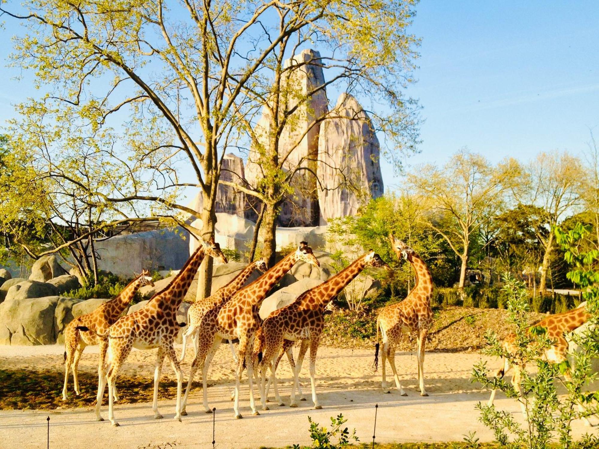 Maison 50 M2, A 5 Minutes De Paris Et Ideal Pour Disney Montreuil  Bagian luar foto